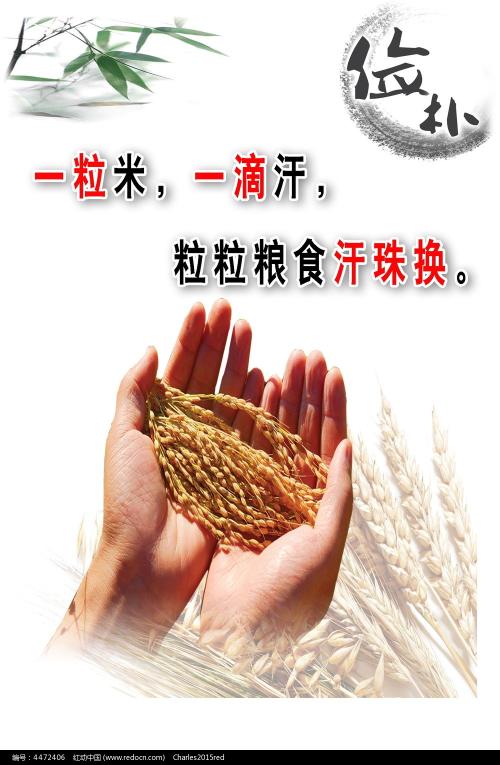 埼玉県立大学经济学文凭证书